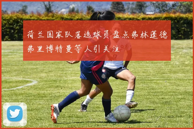 荷兰国家队落选球员盘点弗林蓬德弗里博特曼等人引关注